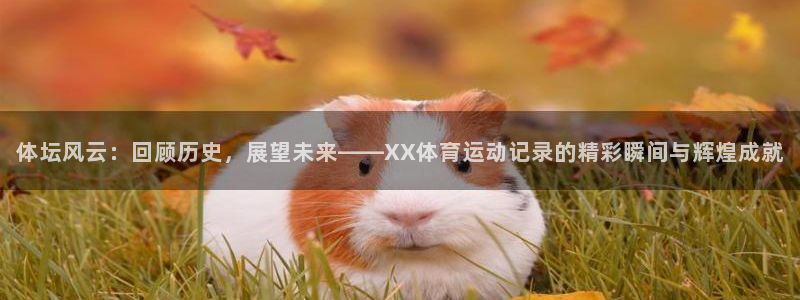 杏悦2注册：体坛风云：回顾历史，展望未来——XX体育运动记录的精彩瞬间与辉煌成就