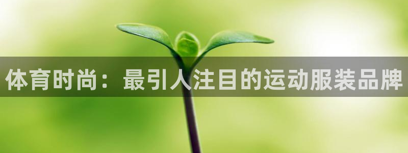 杏悦4官网：体育时尚：最引人注目的运动服装品牌