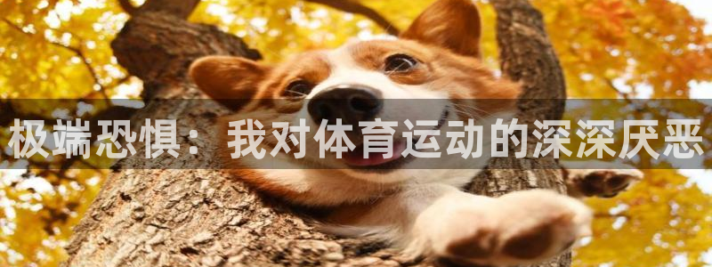 杏悦集团：极端恐惧：我对体育运动的深深厌恶