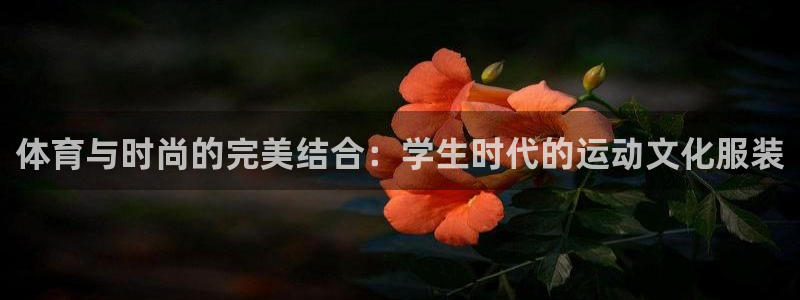 杏悦官网入口：体育与时尚的完美结合：学生时代的运动文化服装