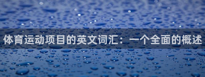杏悦零能源集团：体育运动项目的英文词汇：一个全面的概述