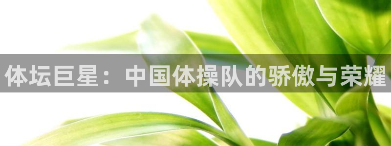 杏悦凯捷平台注册链接：体坛巨星：中国体操队的骄傲与荣耀