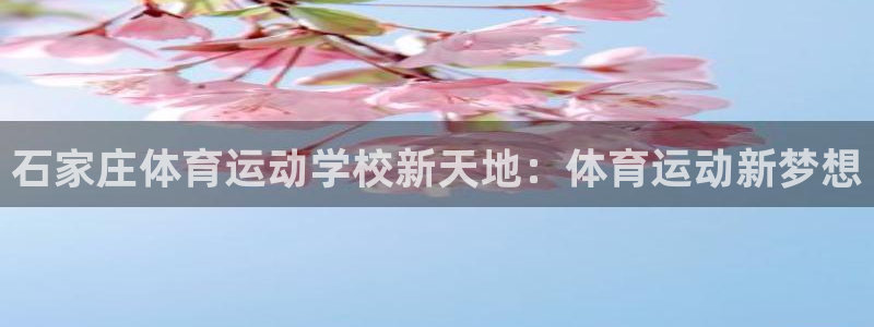 杏悦3官网：石家庄体育运动学校新天地：体育运动新梦想