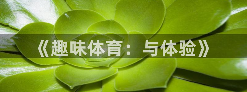 杏悦娱乐登录注册：《趣味体育：与体验》