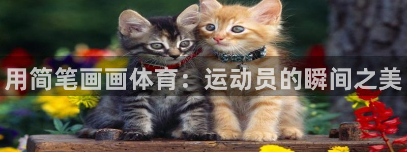 杏悦体育老板是谁：用简笔画画体育：运动员的瞬间之美