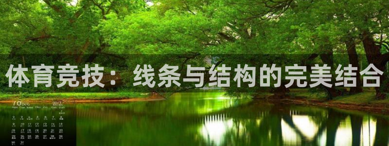 成都杏悦电子有限公司：体育竞技：线条与结构的完美结合