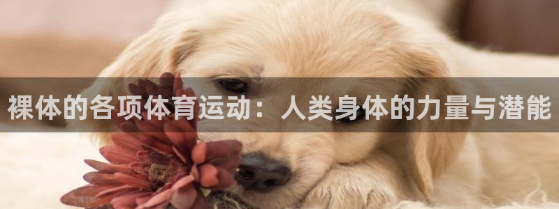 杏悦平台地址：裸体的各项体育运动：人类身体的力量与潜能