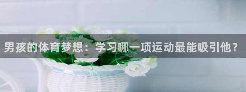 杏悦2平台：男孩的体育梦想：学习哪一项运动最能吸引他？