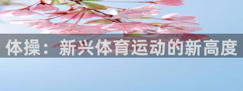 杏悦平台~53866：体操：新兴体育运动的新高度