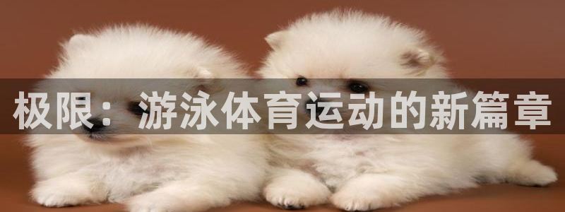 杏悦官网：极限：游泳体育运动的新篇章