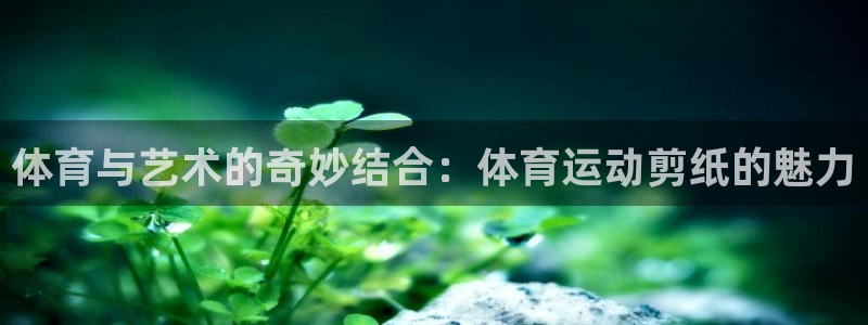www.杏悦体育.com：体育与艺术的奇妙结合：体育运动剪纸的魅力