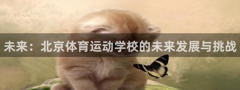 杏悦体育f开户：未来：北京体育运动学校的未来发展与挑战