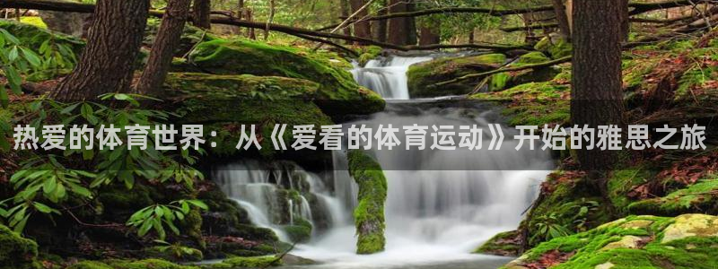 杏悦登陆地址：热爱的体育世界：从《爱看的体育运动》开始的雅思之旅