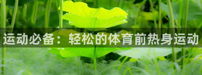 杏悦体育官网登录：运动必备：轻松的体育前热身运动