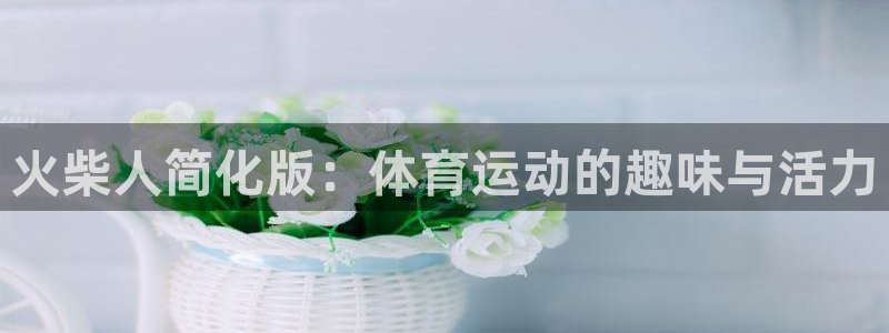 杏悦3平台登录注册：火柴人简化版：体育运动的趣味与活力