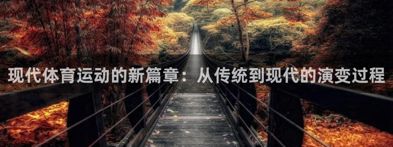 杏悦2代理注册：现代体育运动的新篇章：从传统到现代的演变过程