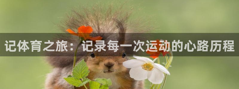 杏悦