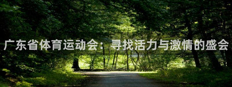 杏悦5：广东省体育运动会：寻找活力与激情的盛会
