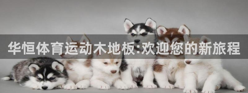杏悦2平台注册入口：华恒体育运动木地板:欢迎您的新旅程