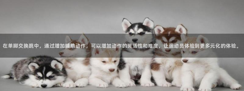 杏悦官网入口：在单脚交换跳中，通过增加辅助动作，可以增加动作的灵活性和难度，让运