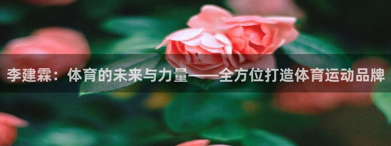 杏悦4：李建霖：体育的未来与力量——全方位打造体育运动品牌