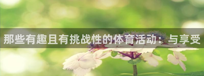 杏悦4注册：那些有趣且有挑战性的体育活动：与享受