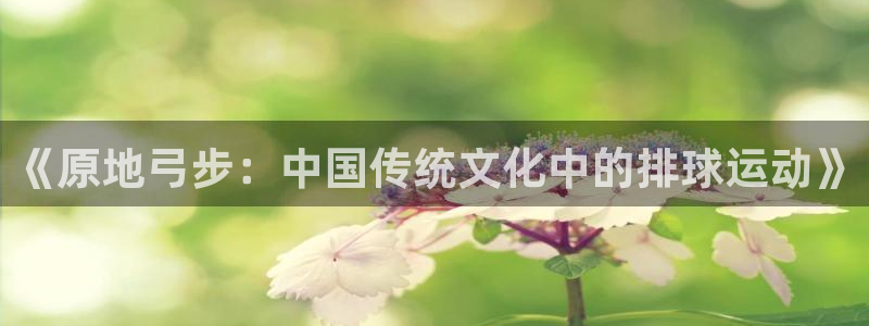 杏悦集团股票：《原地弓步：中国传统文化中的排球运动》