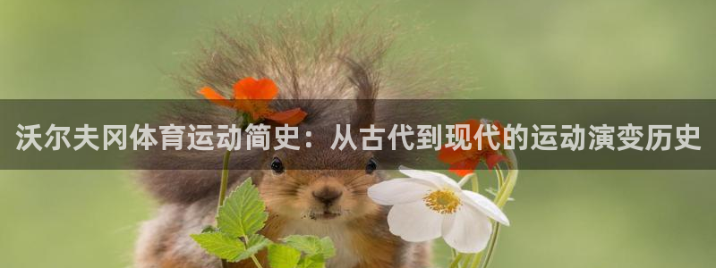 杏悦体育代理