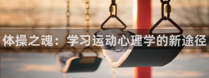 杏悦2平台：体操之魂：学习运动心理学的新途径